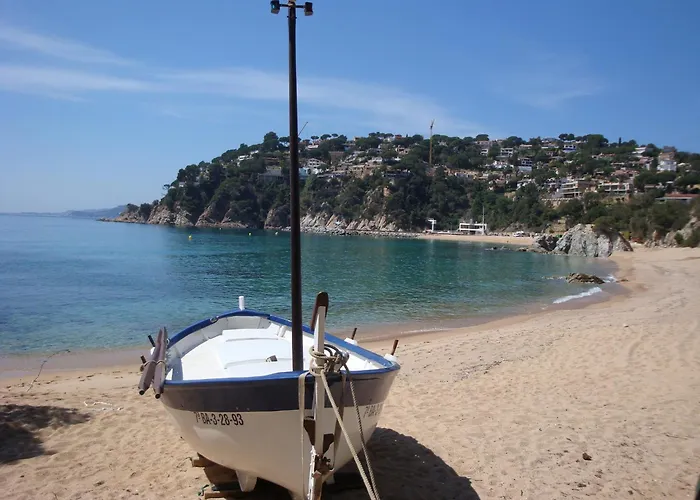 La Gaviota